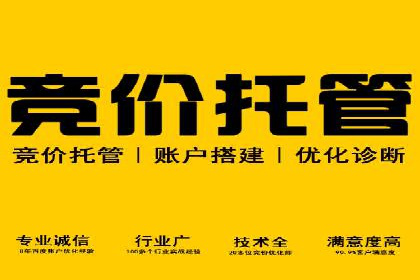 百度竞价推广托管：实战案例深度剖析